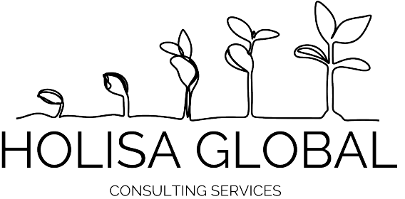 Holisa Global Social Impact Consulting